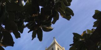 UC Berkeley Will Offer Students Fully Remote Classes For The Fall Semester