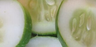 Winter Vegetables Start In Summer winter vegetables