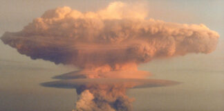 The Cottage Chronicles: A Million Columns