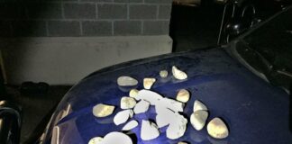 29 Arrests In Sunday Portland Protest