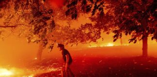 Norcal Fires Kill 5 and Displace Tens of Thousands