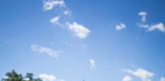 Three Shot Inside Barbershop In Chicago