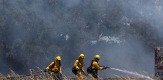 Bay Area Parks Shut Down by Wildfires