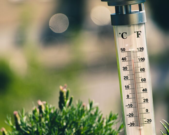 Excessive Heat Watch Issued In Bay Area Over The Weekend