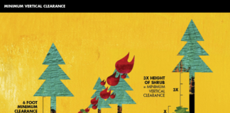 Trump Addresses California Wild Fires