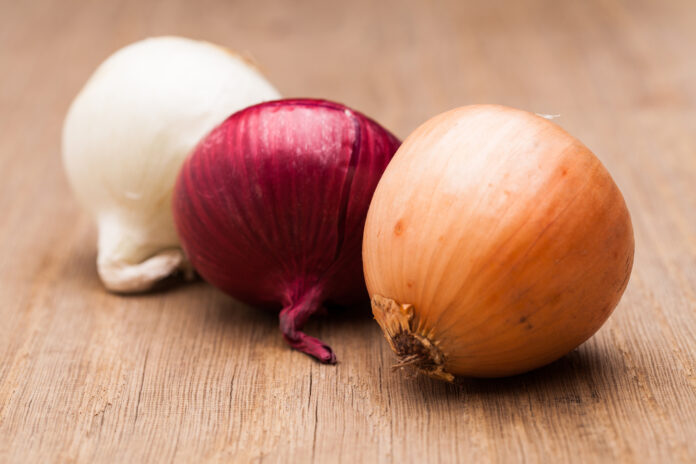 Onion Producer Identified As Possible Source Of Salmonella Outbreak