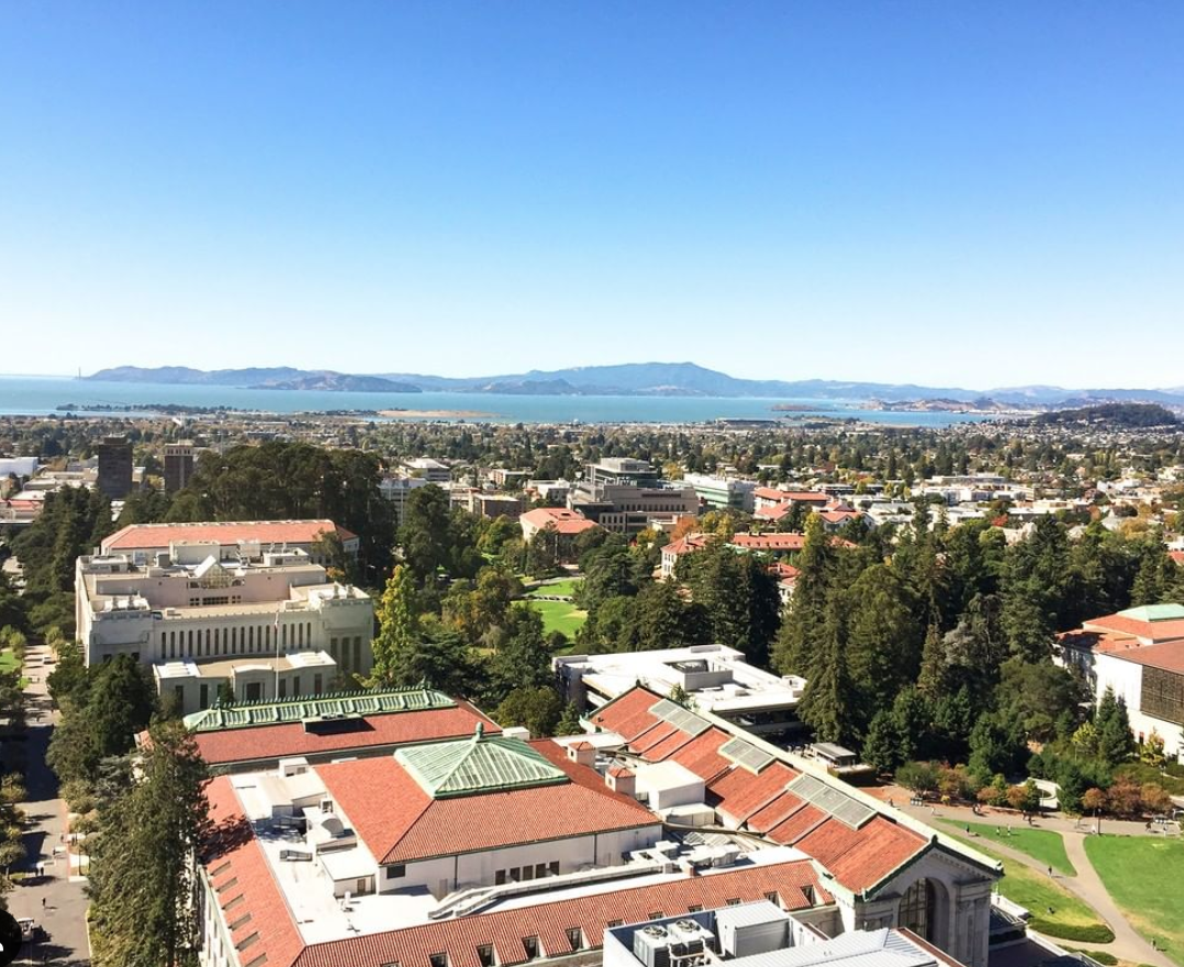 UC Berkeley Launches New Center For Psychedelic Science Education - San ...