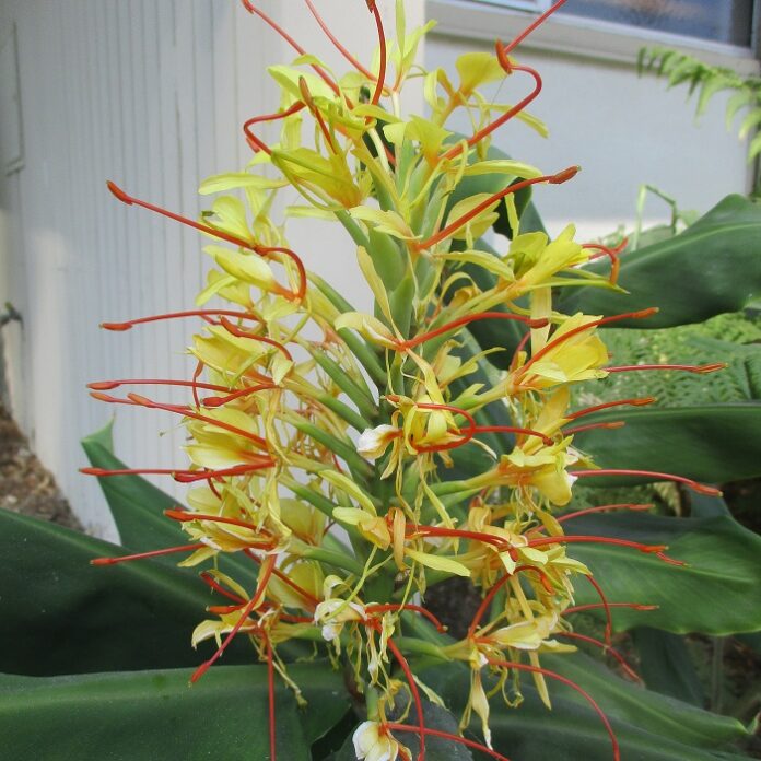 Fertilizer Is A Seasonal Commodity fertilizer