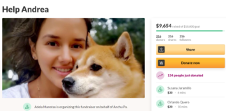 GoFundMe Campaign For Woman Assaulted On Public Train