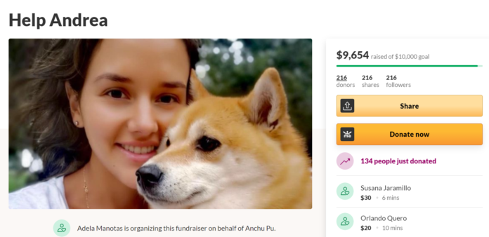 GoFundMe Campaign For Woman Assaulted On Public Train