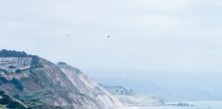 Father, Toddler Rescued Off SF Cliff