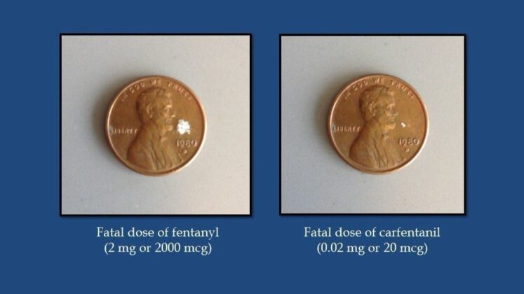 Golden Gate Bridge Car Accident Causes Possible Fentanyl Exposure San Francisco News