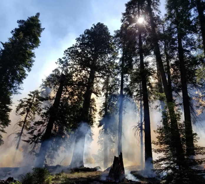 Sequoia And Kings Canyon National Park Approve Campfire Ban