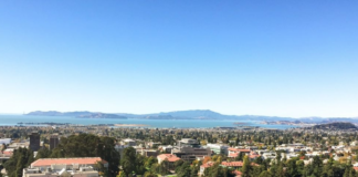 UC Berkeley Launches New Center For Psychedelic Science Education