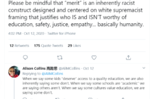Alison Collins Racist Tweet 1