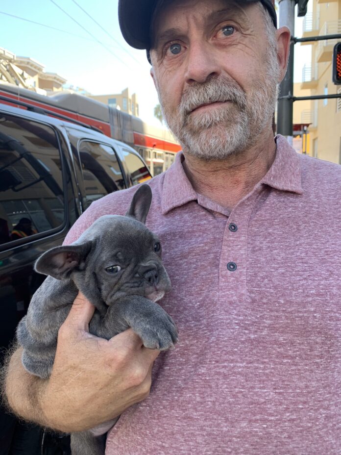 Stolen Puppies Returned To Owner