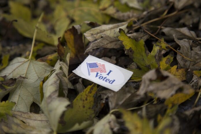 Do Not Dismiss Your Right To Vote!