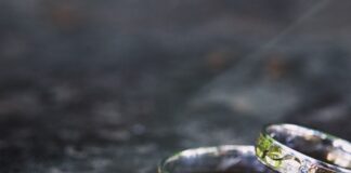 Couple That Bonded Online Over Deceased Pets Marries