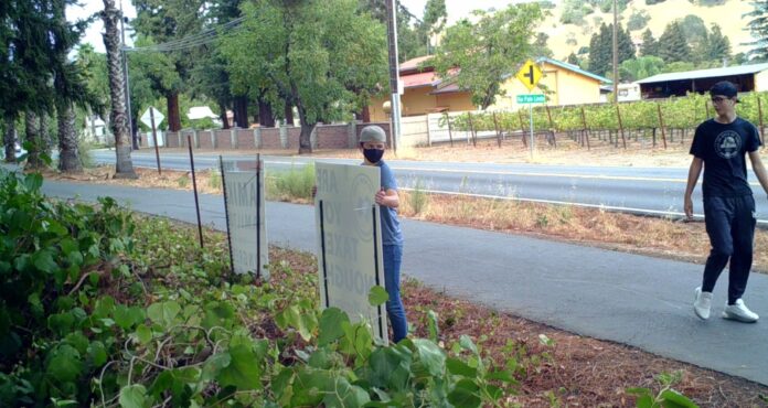 Teens Steal Conservative Signs Off Private Property
