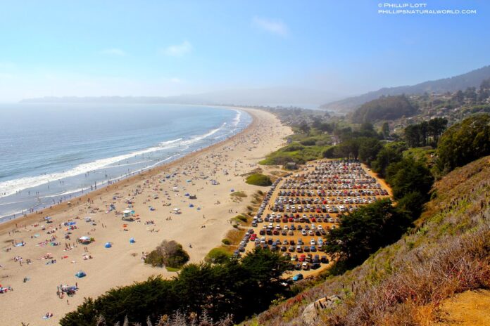 Four-Year-Old Girl Drowns On Thanksgiving At Point Reyes