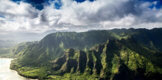 Woman Arrested After Violating Hawaii’s COVID-19 Guidelines