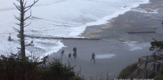 Sneaker Waves Expected For Bay Area Beaches