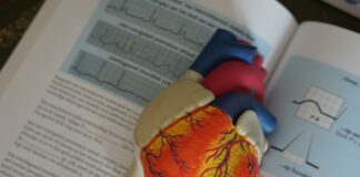 Vida Health To Release App Targeting Heart Failure