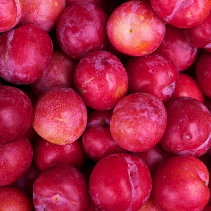 Deciduous Fruit Trees Need Pruning deciduous fruit trees