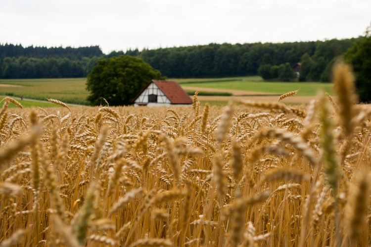 Farmhouse
