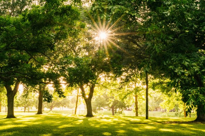 Dolores Park To Be Included In AICD