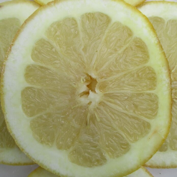 Citrus Fruits Ripen Through Winter citrus fruits