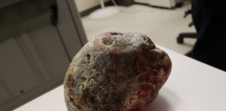 SFPD Apprehends Burglary Suspect