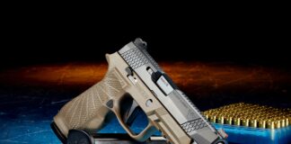 Quintuple Drive-By Shooter Arrested