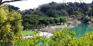 Designs Approved For Sunnyvale, Visitacion Valley Rec Center