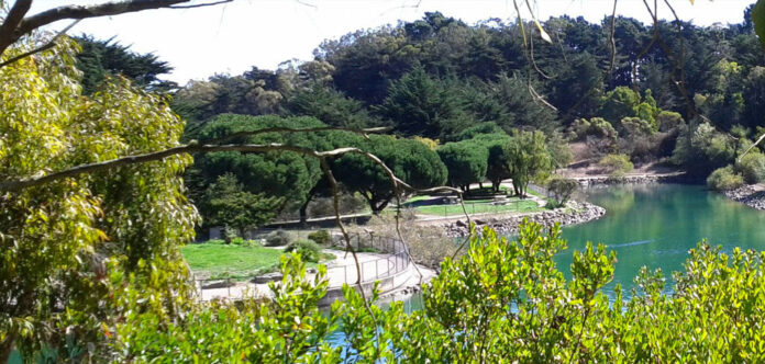 Designs Approved For Sunnyvale, Visitacion Valley Rec Center