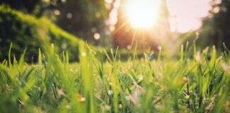 Spring Is Coming People