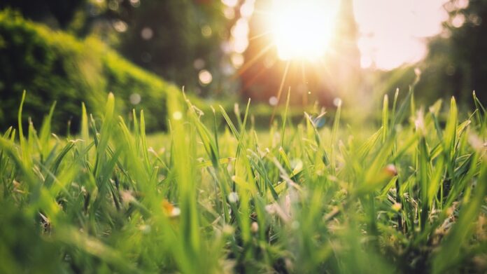 Spring Is Coming People