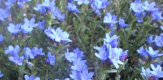 Nomenclature Was Designed For Simplicity nomenclature