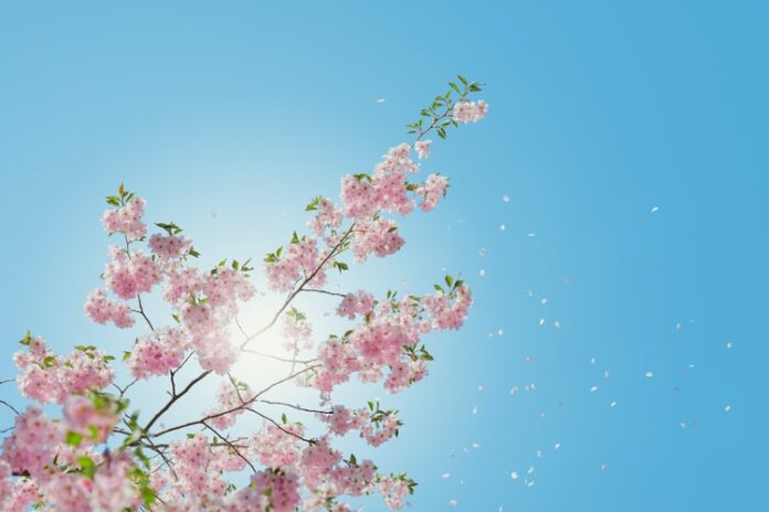 Mother’s Day Is Coming