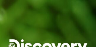 Mergers And Acquisitions!