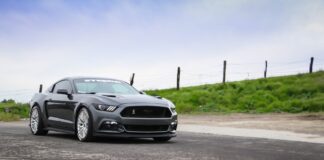 Great Highway Park Initiative To Keep Highway Closed