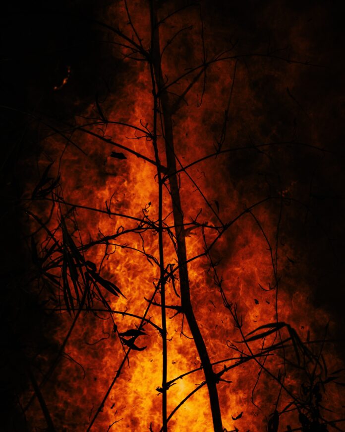 Dixie Fire Continues To Grow Over 190,000 Acres