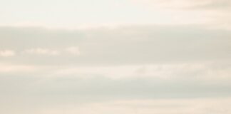 California Geological Survey Released New Tsunami Hazard Maps