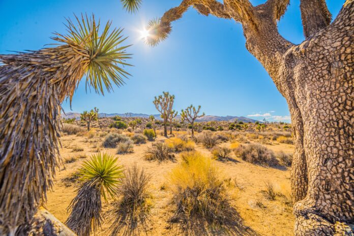 June 2021 Recorded Hottest Month In 127 Years