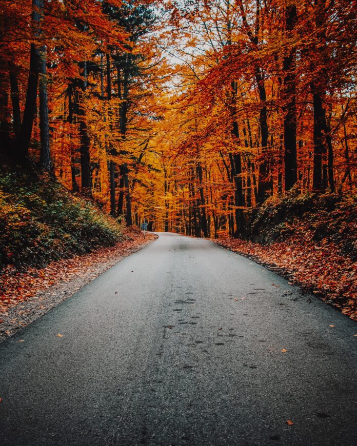 Autumn Is Coming People!
