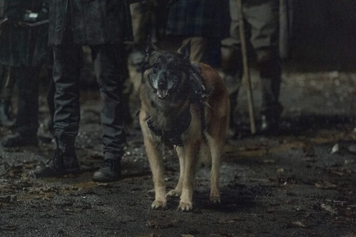 “Walking Dead” Recap: ‘Rendition’