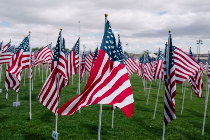 Veterans Day Tribute