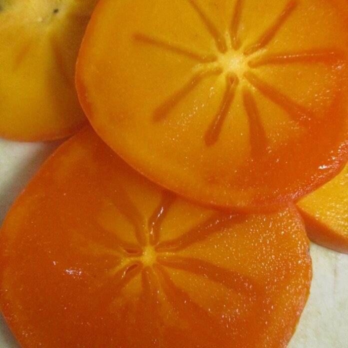 Dormant Pruning Promotes Fruit Production dormant pruning