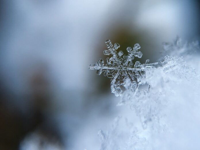 Interfaith Winter Shelter Program Opens