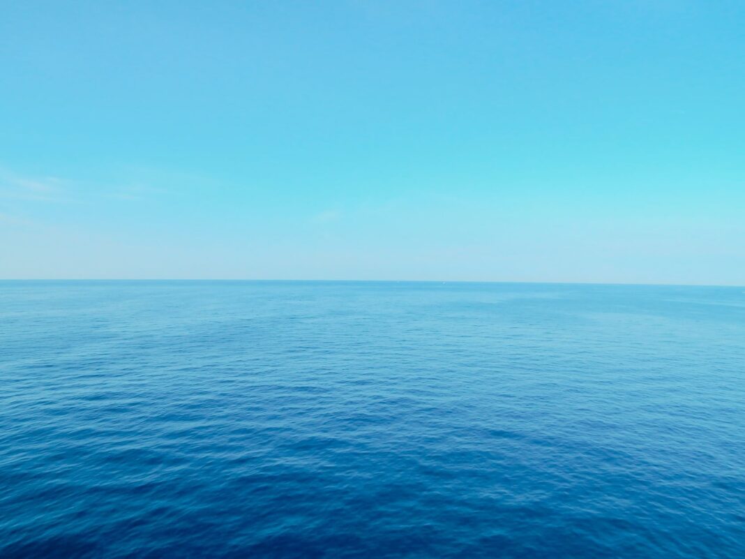 sarah-brown-ZoQNk6lRUHM-unsplash